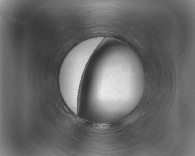 X0000074970288200609011024