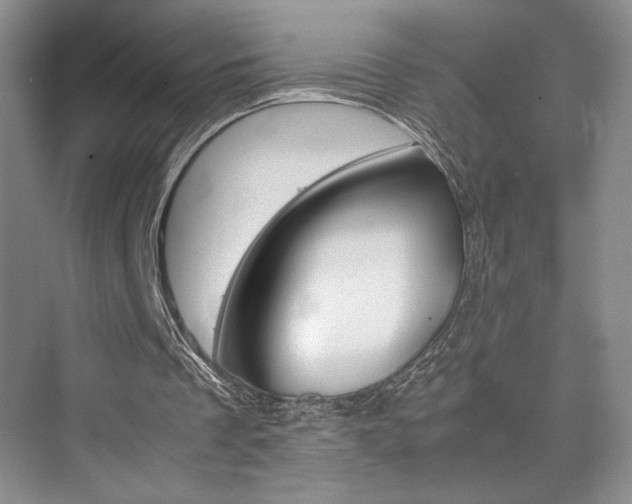 X0000074970289200609011023