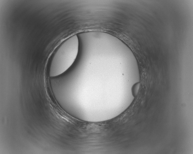 X0000074970290200609011023