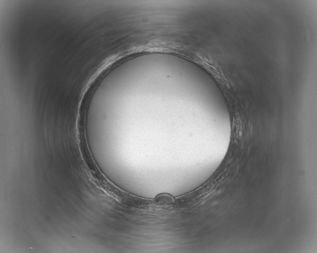 X0000074970292200609011023