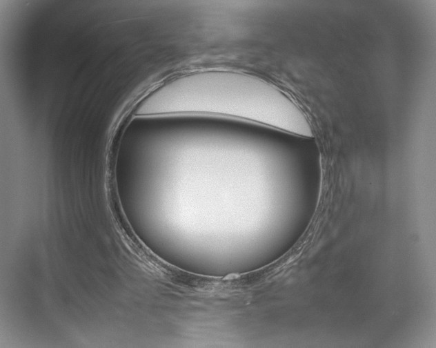 X0000074970293200609011023