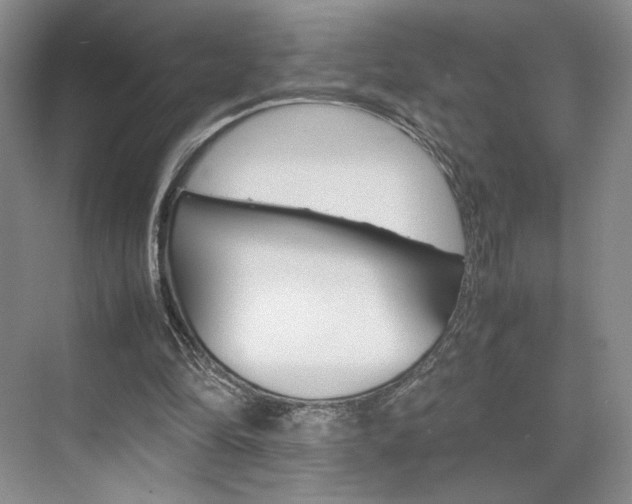 X0000074970294200609011023