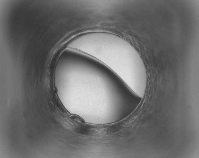 X0000074970295200609011023