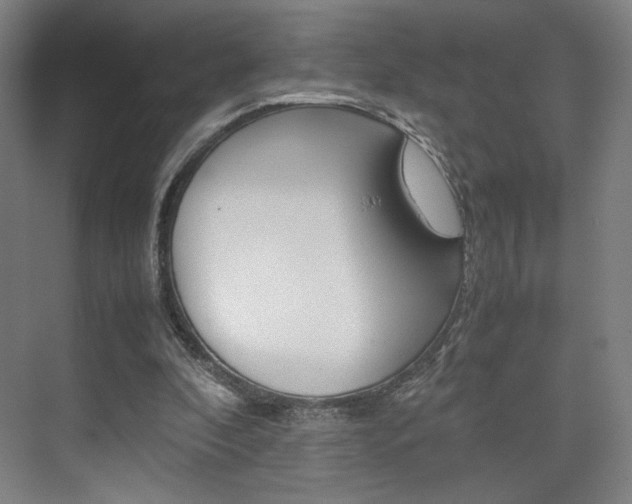 X0000074970296200609011023