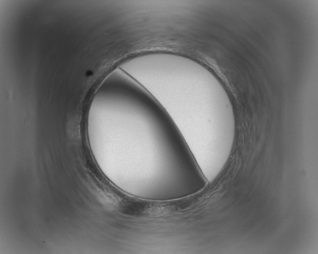 X0000074970299200609011023