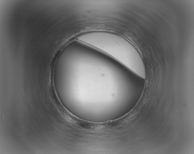 X0000074970301200609011023