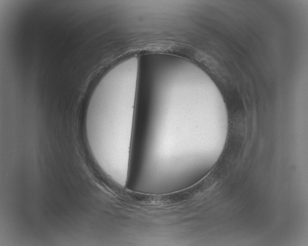 X0000074970303200609011023