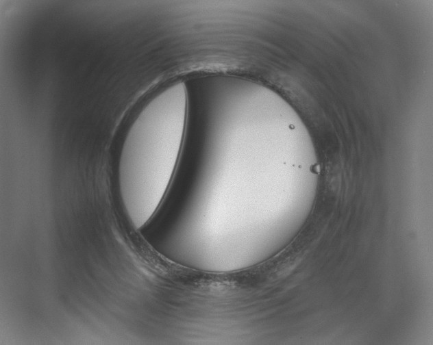 X0000074970304200609011023