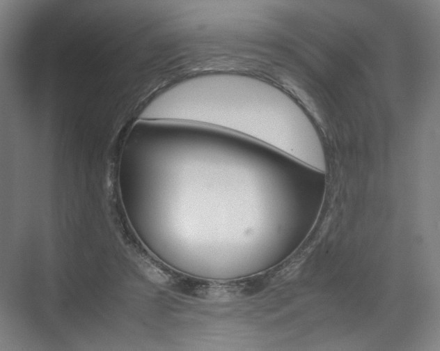 X0000074970305200609011023