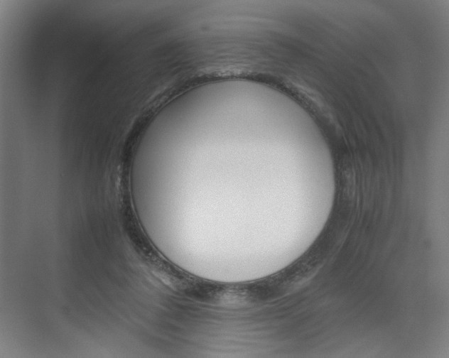 X0000074970308200609011023