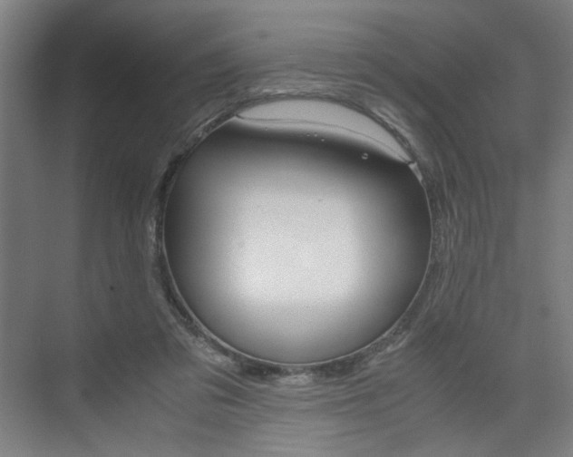 X0000074970309200609011023