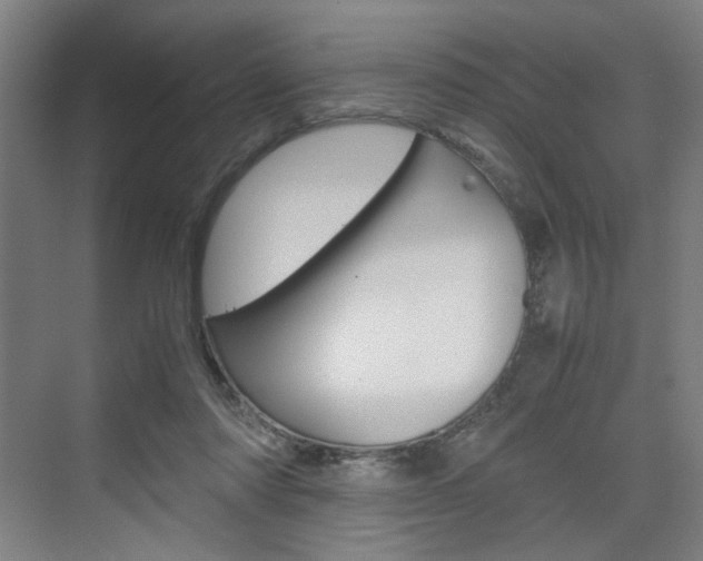 X0000074970310200609011023