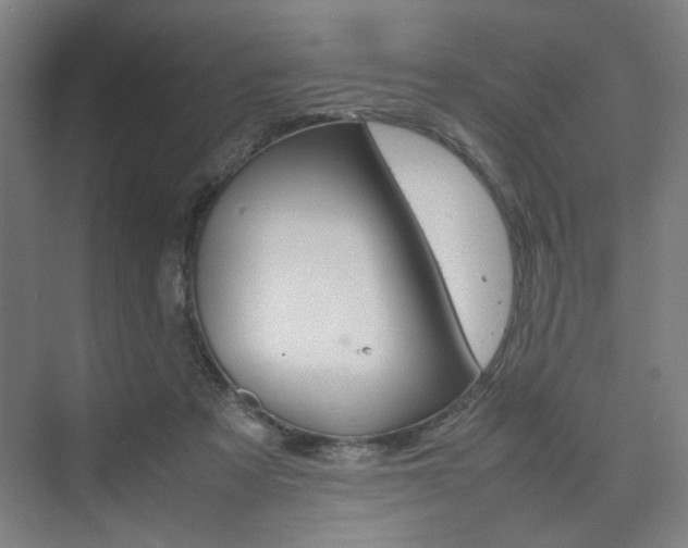 X0000074970313200609011023