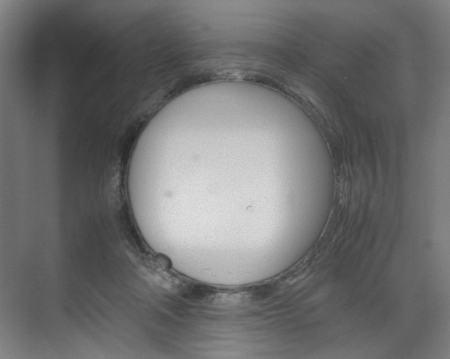 X0000074970314200609011023