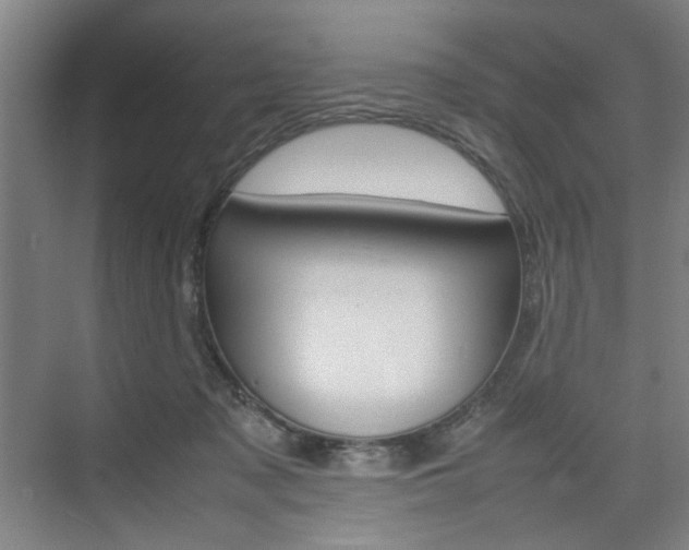 X0000074970317200609011023