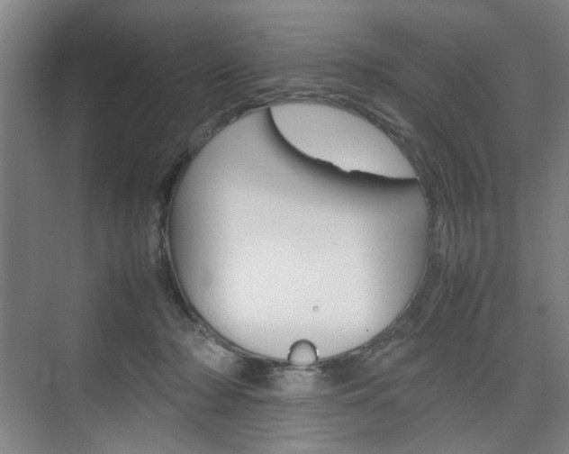 X0000074970318200609011023