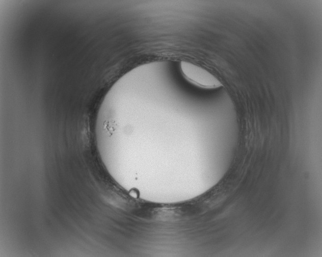 X0000074970320200609011023