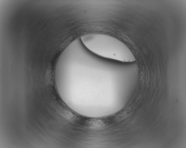 X0000074970322200609011023