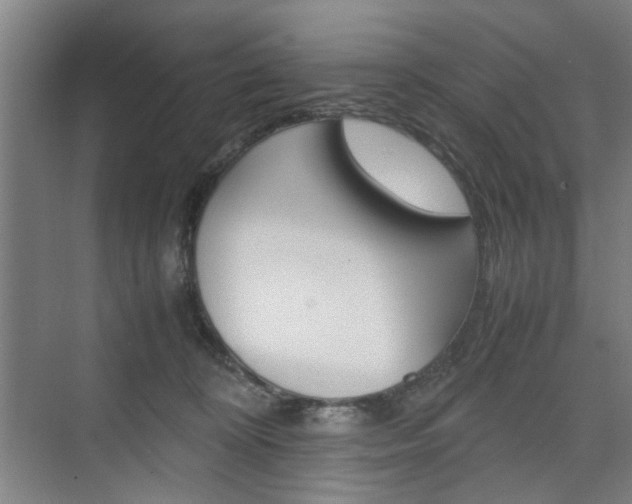 X0000074970324200609011023