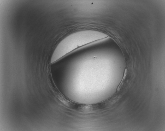 X0000074970325200609011023