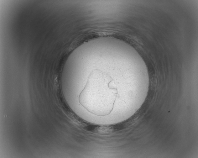 X0000074970327200609011023