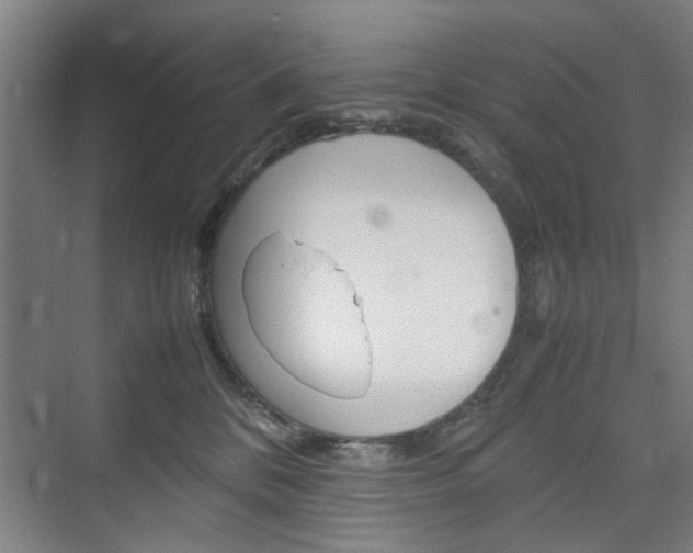 X0000074970328200609011023