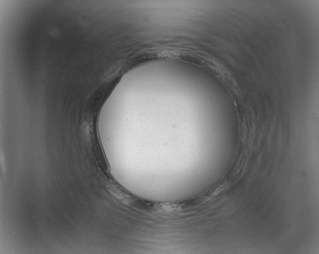 X0000074970329200609011023