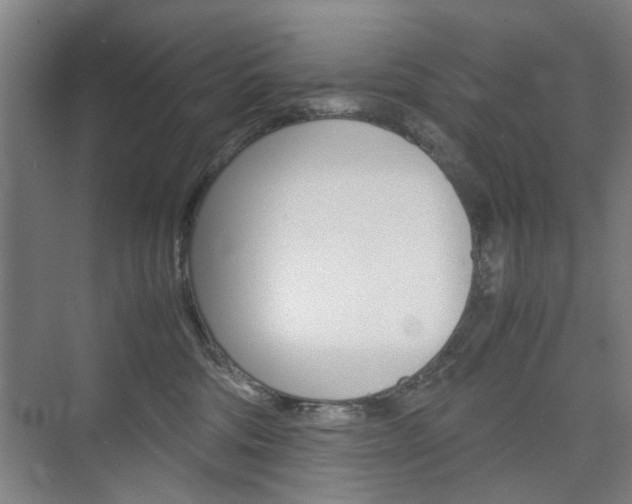 X0000074970330200609011023