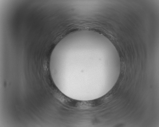 X0000074970331200609011023