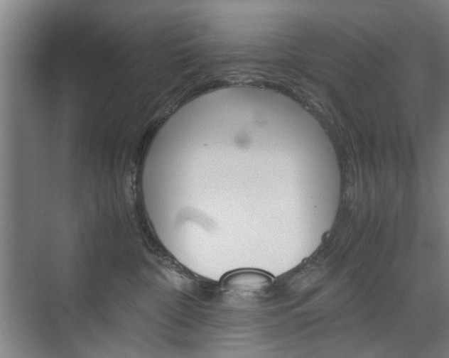 X0000074970332200609011023