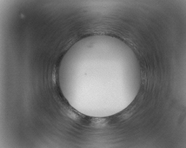 X0000074970334200609011023