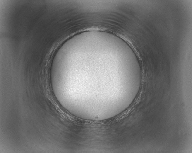 X0000074970337200609011022