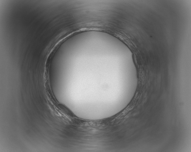 X0000074970338200609011022