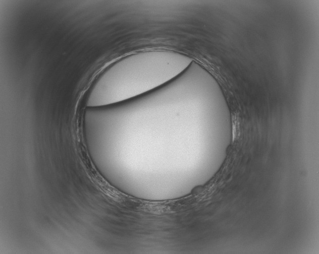 X0000074970339200609011022