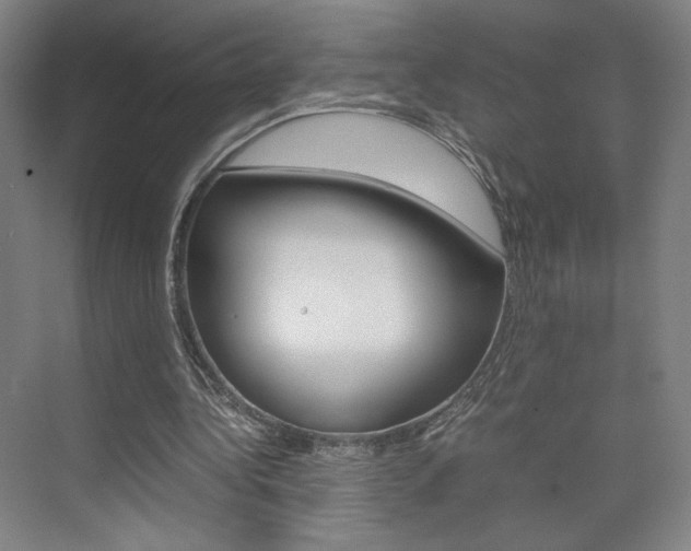 X0000074970340200609011022