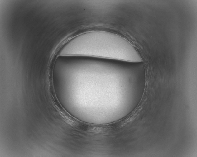 X0000074970341200609011022