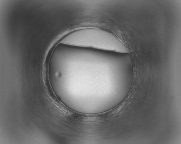 X0000074970342200609011022