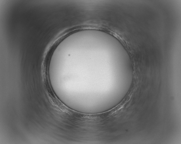 X0000074970343200609011022