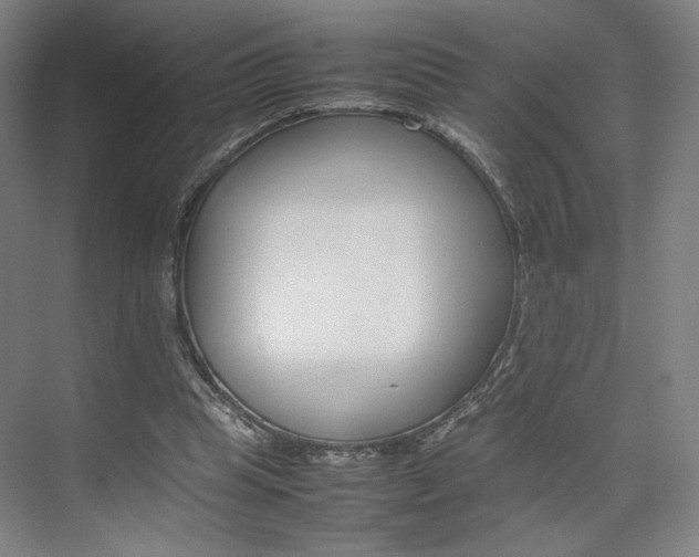 X0000074970345200609011022