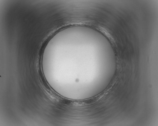 X0000074970346200609011022