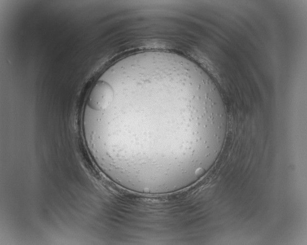 X0000074970347200609011022