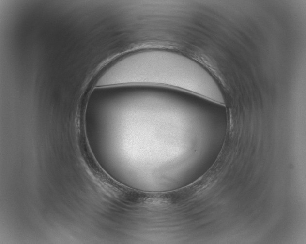 X0000074970348200609011022