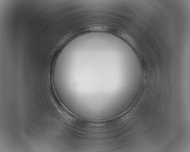 X0000074970349200609011022