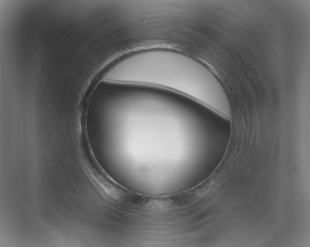 X0000074970350200609011022