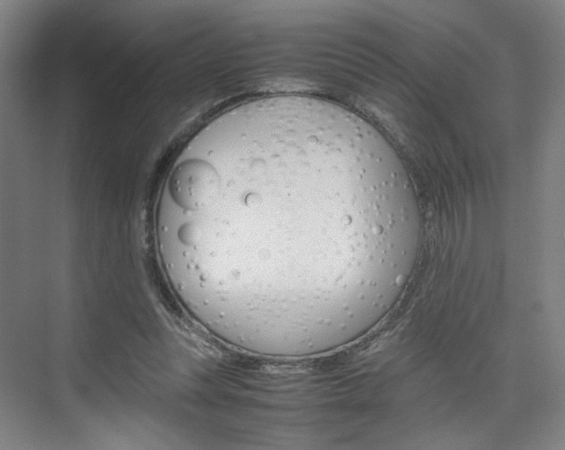 X0000074970351200609011022