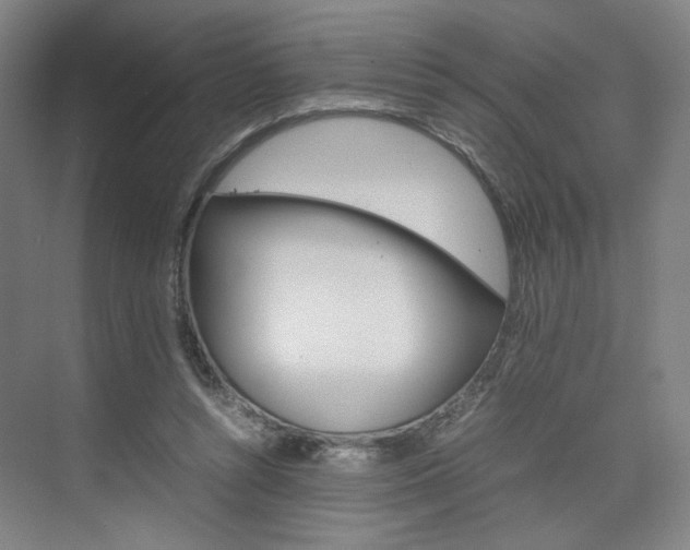 X0000074970352200609011022