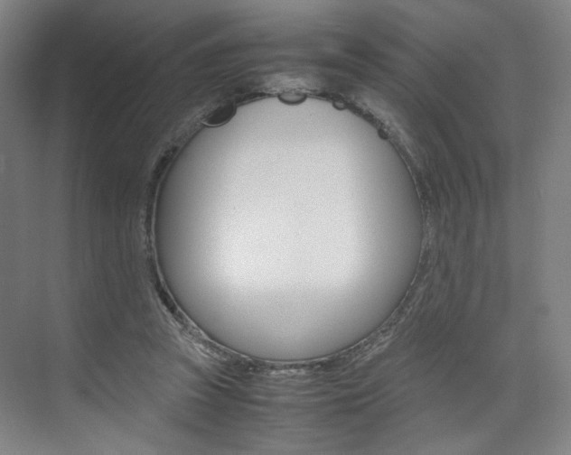 X0000074970353200609011022