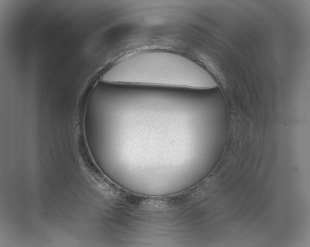 X0000074970354200609011022