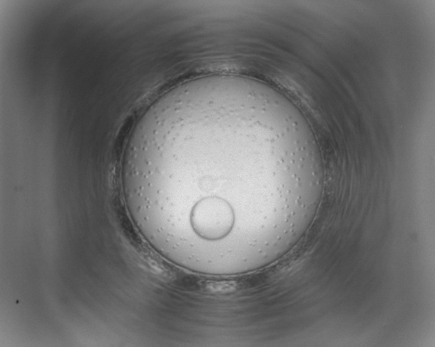 X0000074970355200609011022