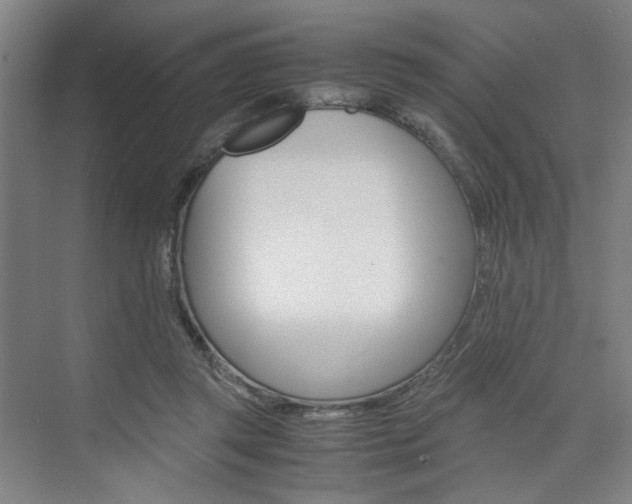 X0000074970357200609011022